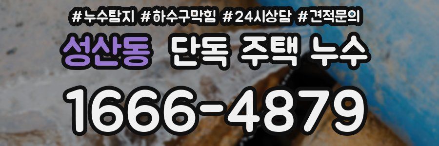 성산동 단독 주택 누수