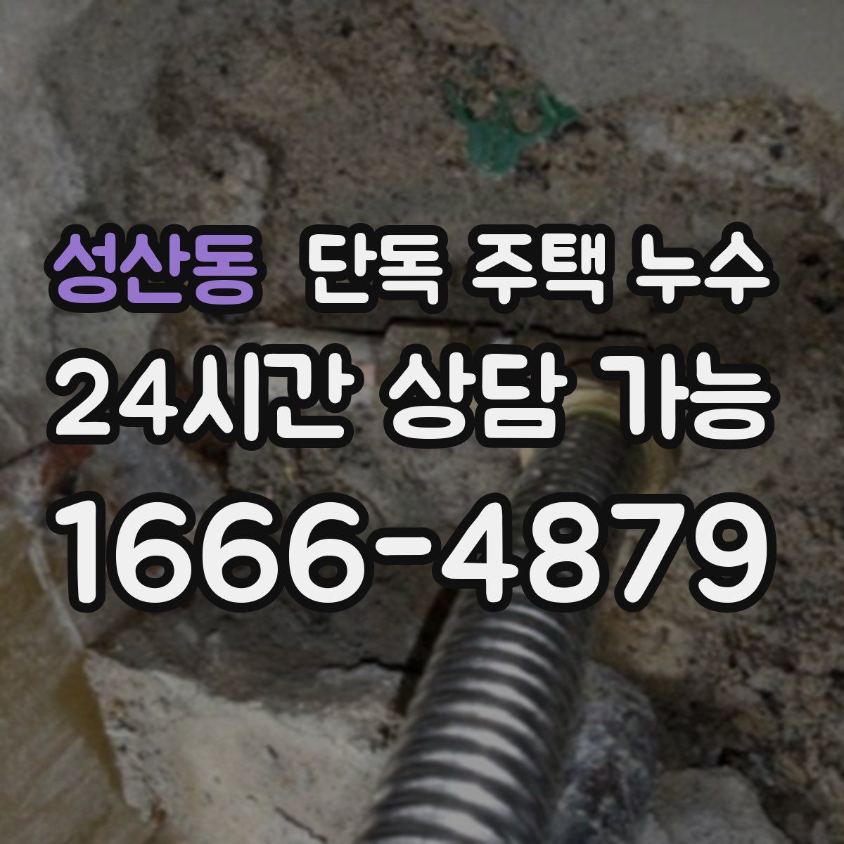 성산동 단독 주택 누수