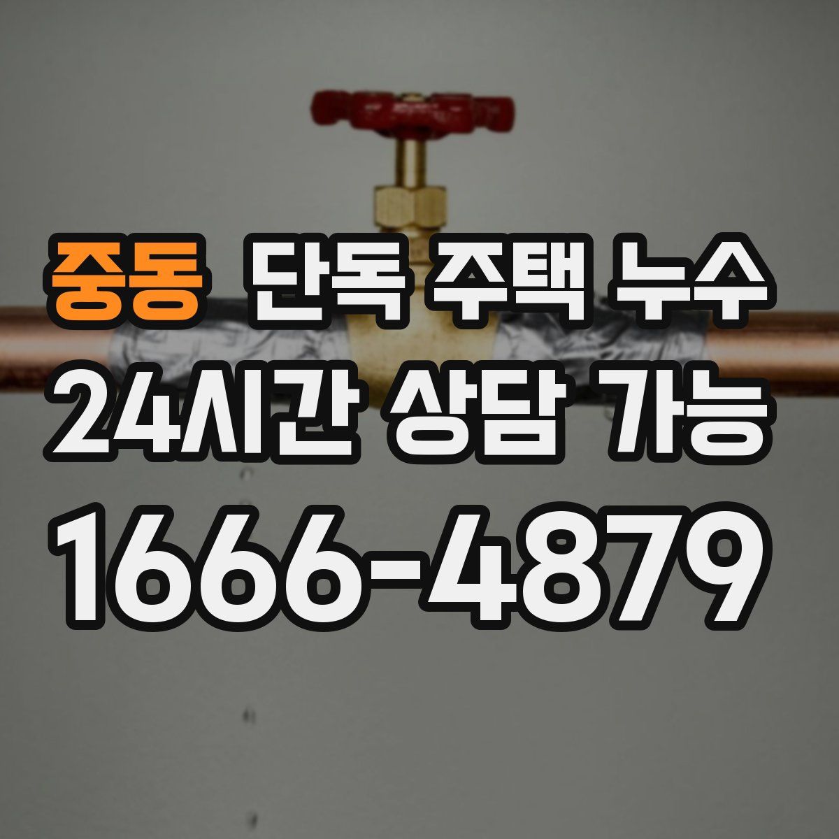 중동 단독 주택 누수