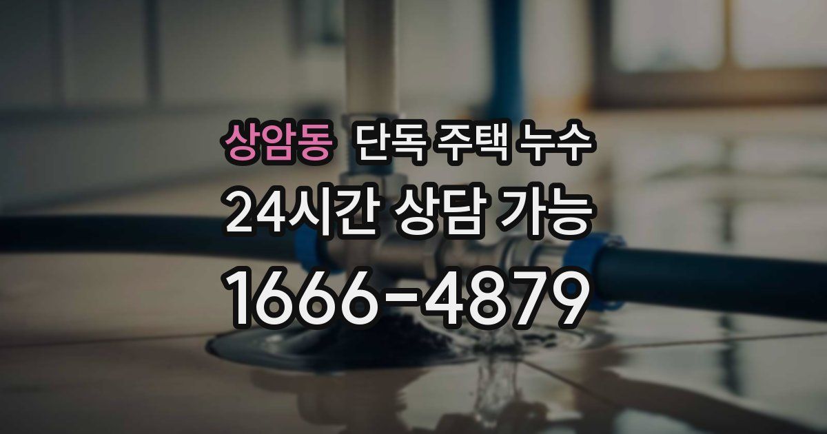 상암동 단독 주택 누수