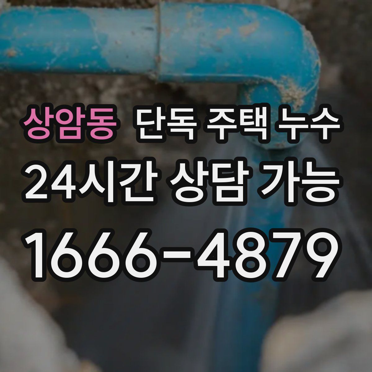 상암동 단독 주택 누수