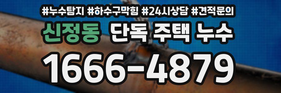 신정동 단독 주택 누수