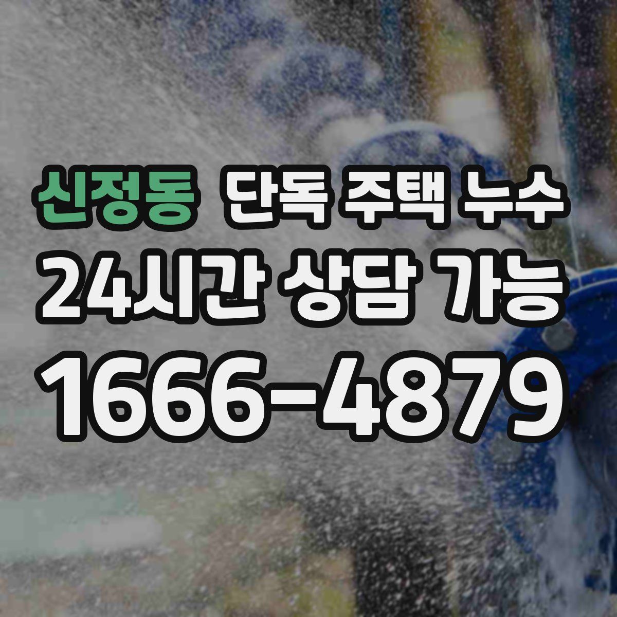 신정동 단독 주택 누수
