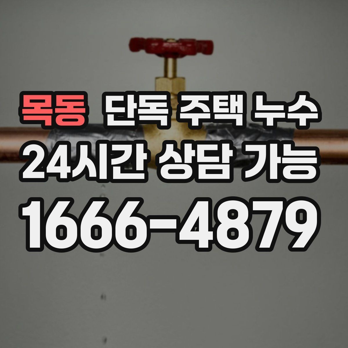 목동 단독 주택 누수 홈통 문제로 실내 벽이 젖는 과정
