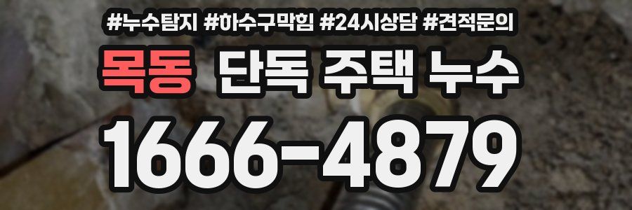 목동 단독 주택 누수