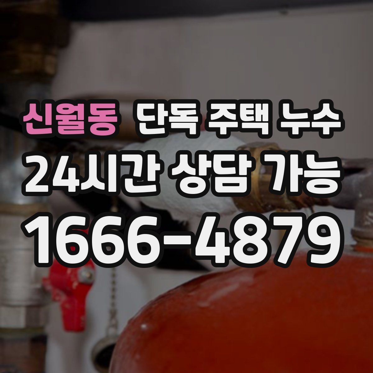 신월동 단독 주택 누수 곰팡이 냄새가 심해질 때 원인 찾기