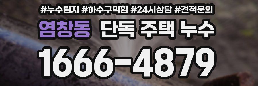 염창동 단독 주택 누수