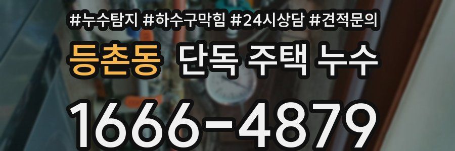 등촌동 단독 주택 누수