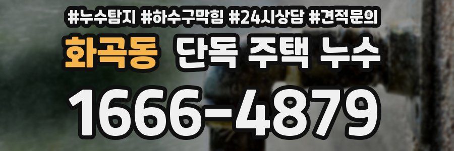 화곡동 단독 주택 누수