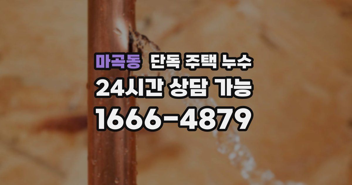 마곡동 단독 주택 누수