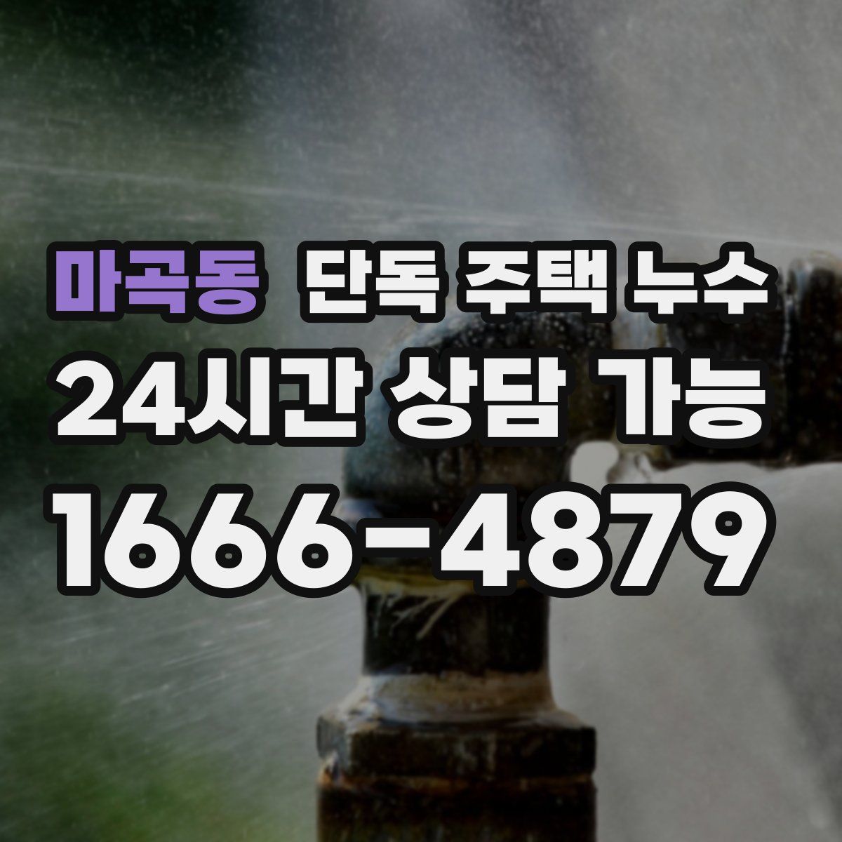 마곡동 단독 주택 누수