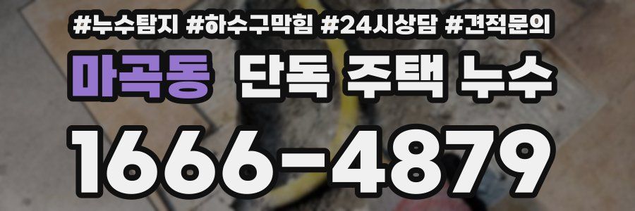 마곡동 단독 주택 누수