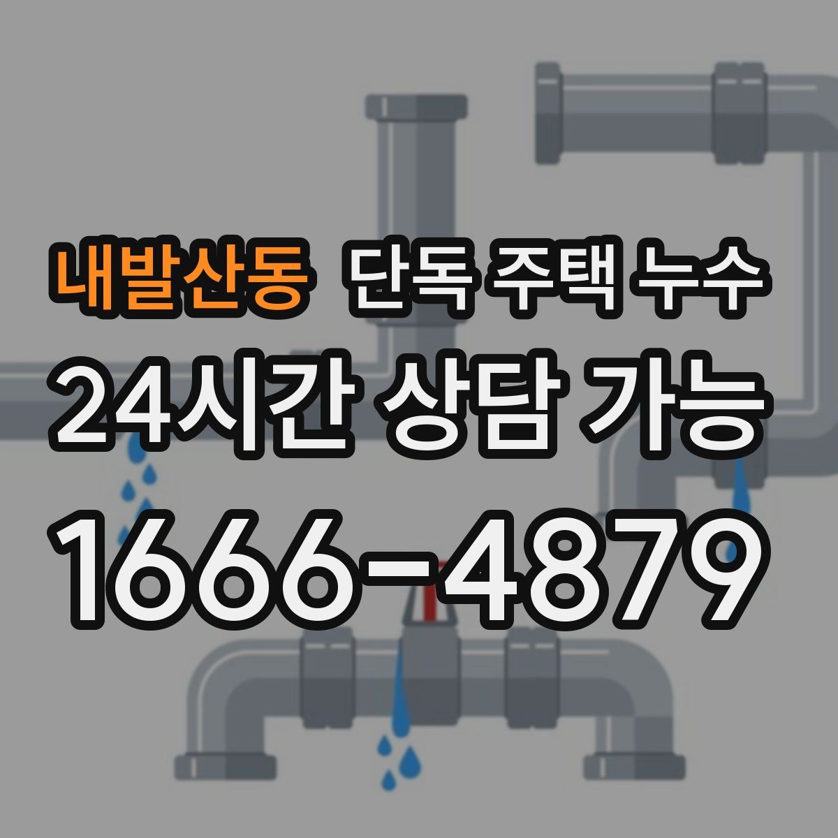 내발산동 단독 주택 누수