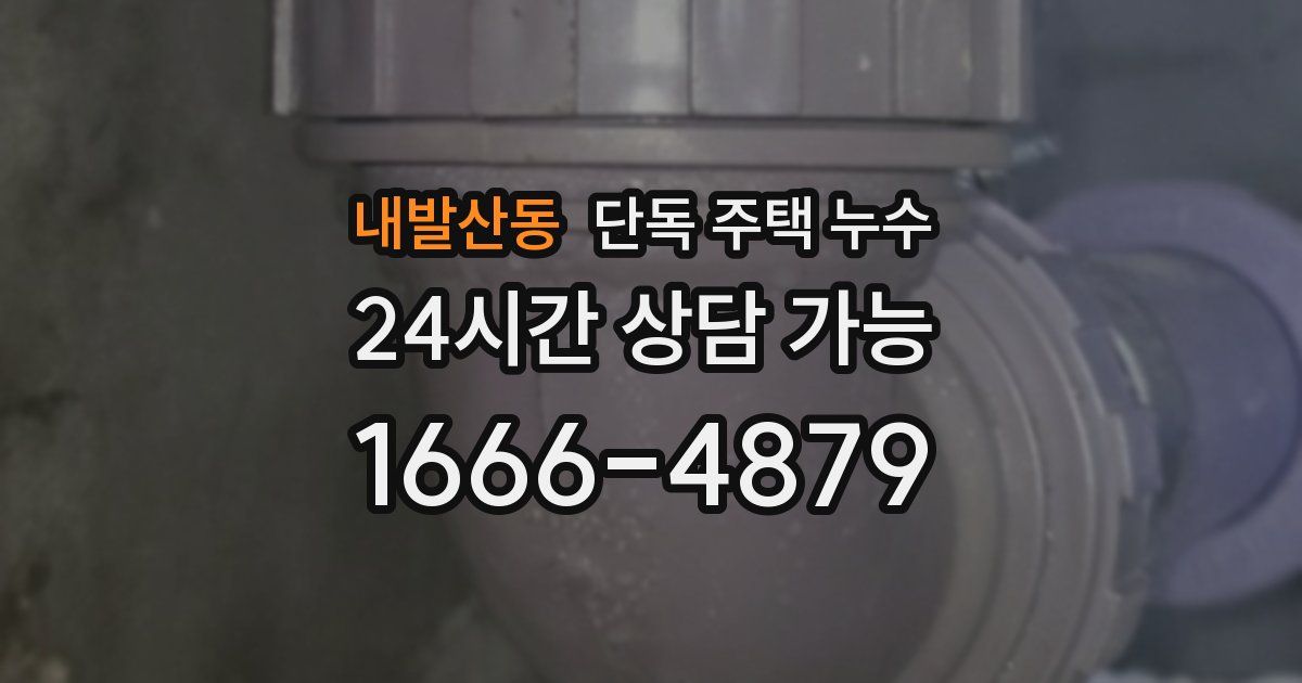 내발산동 단독 주택 누수