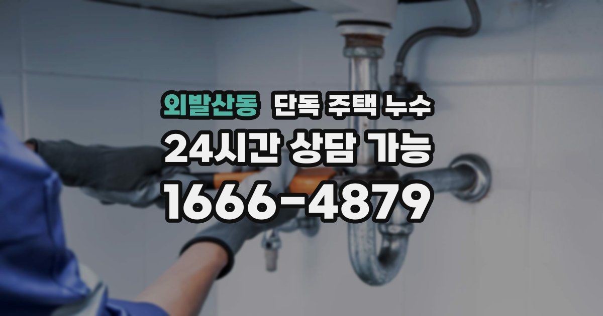 외발산동 단독 주택 누수