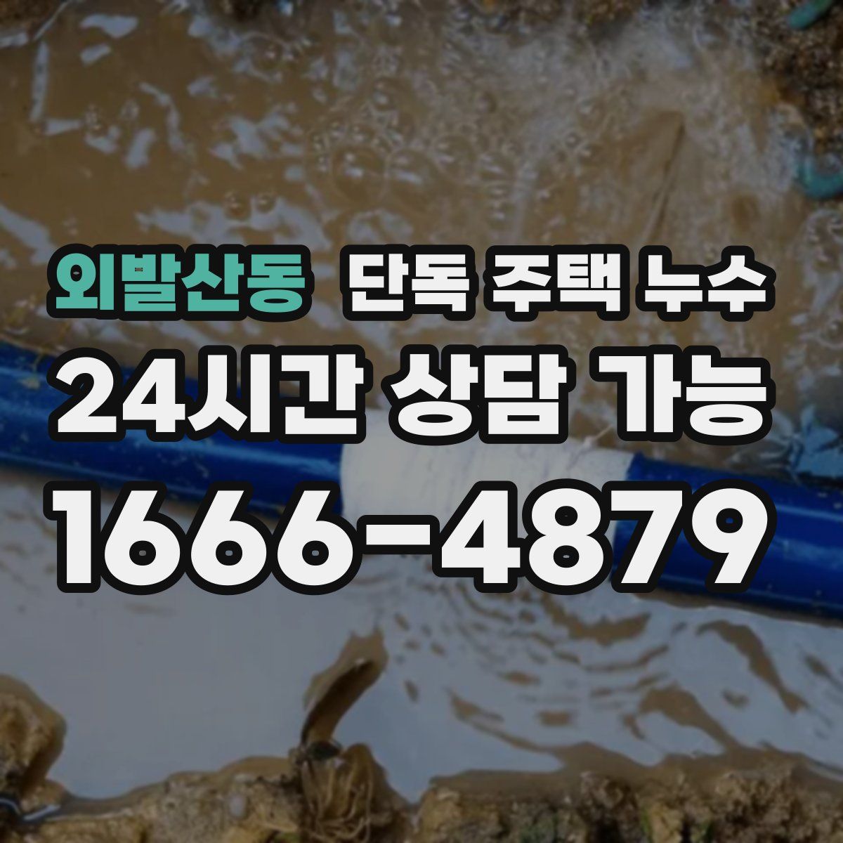 외발산동 단독 주택 누수