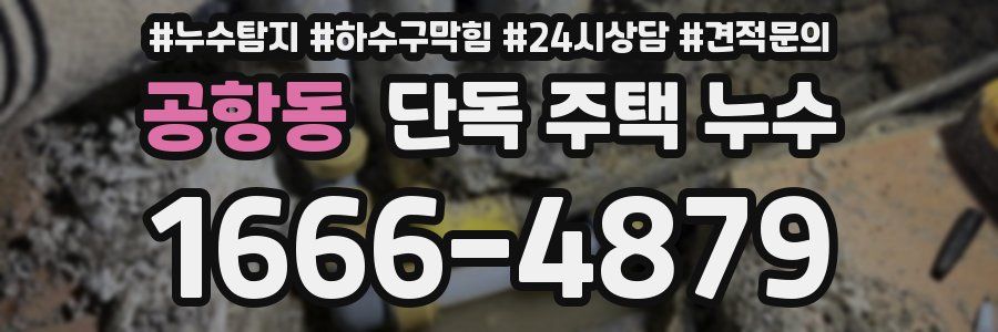 공항동 단독 주택 누수