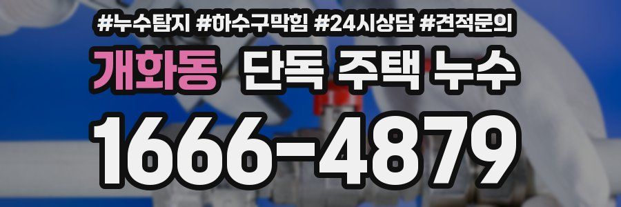 개화동 단독 주택 누수