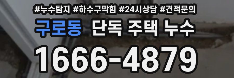 구로동 단독 주택 누수