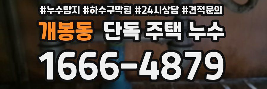개봉동 단독 주택 누수