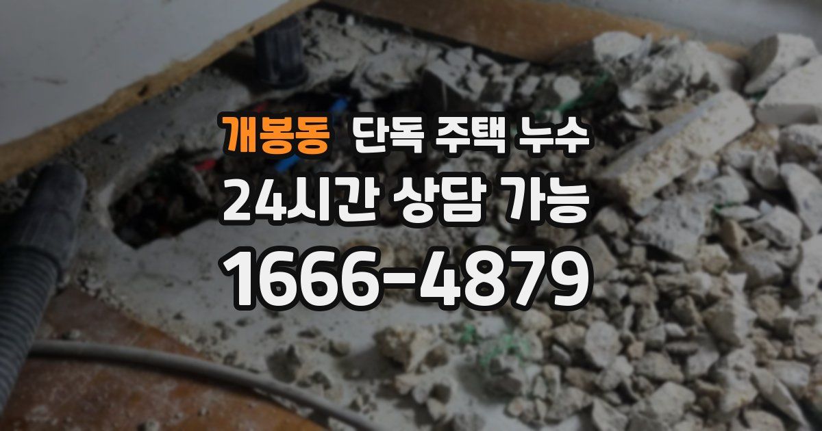 개봉동 단독 주택 누수