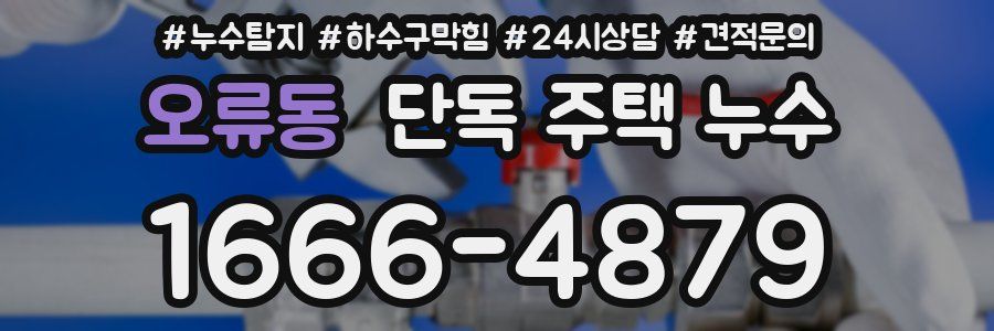 오류동 단독 주택 누수