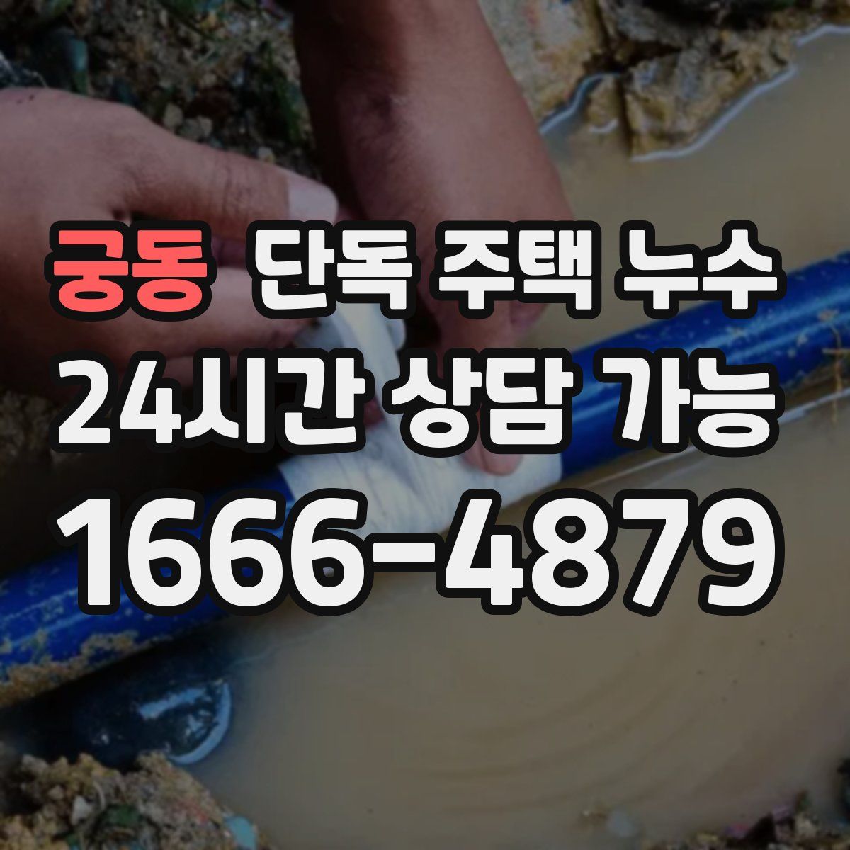 궁동 단독 주택 누수