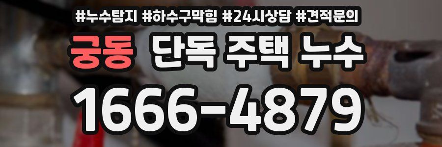 궁동 단독 주택 누수