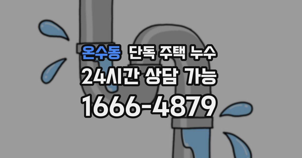온수동 단독 주택 누수
