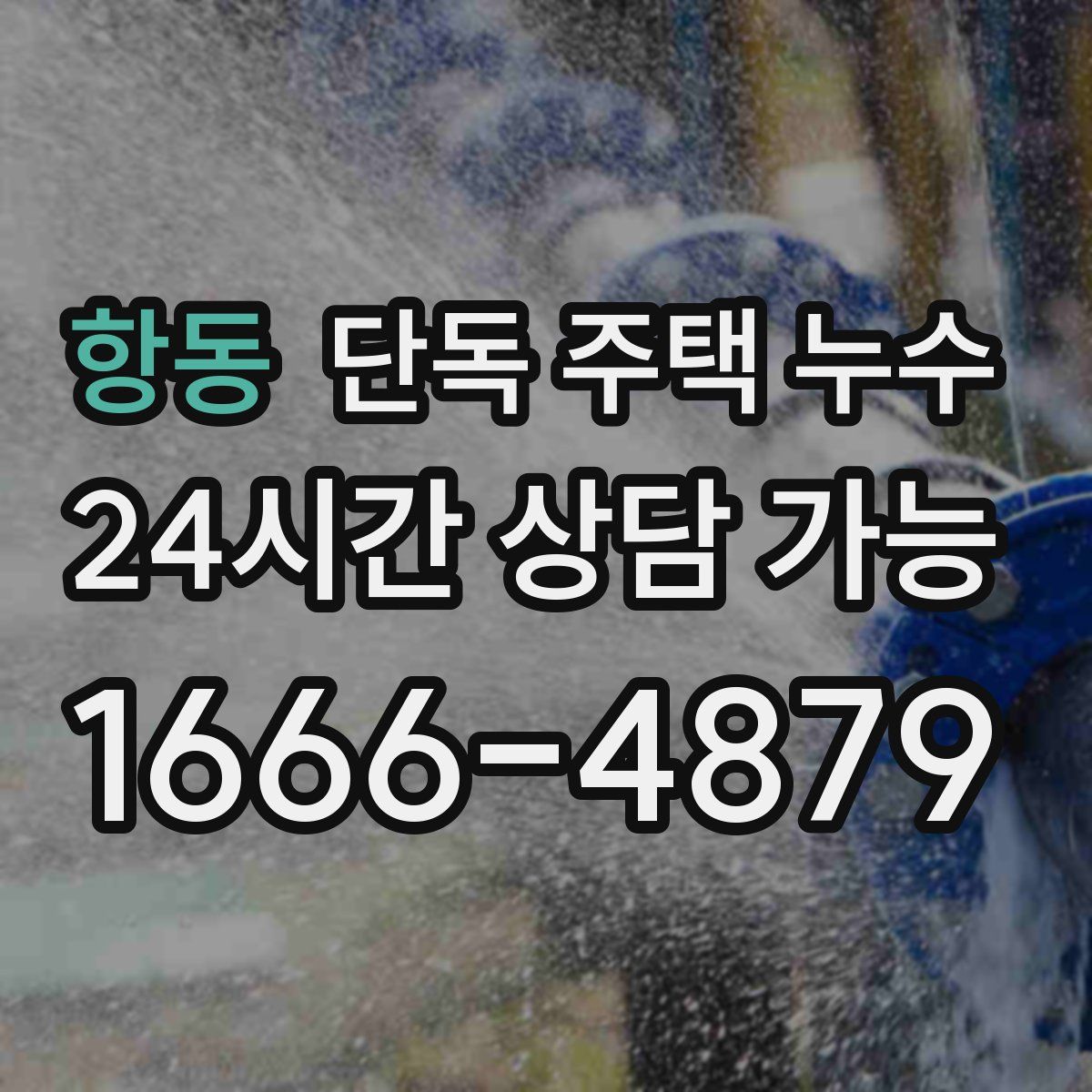 항동 단독 주택 누수