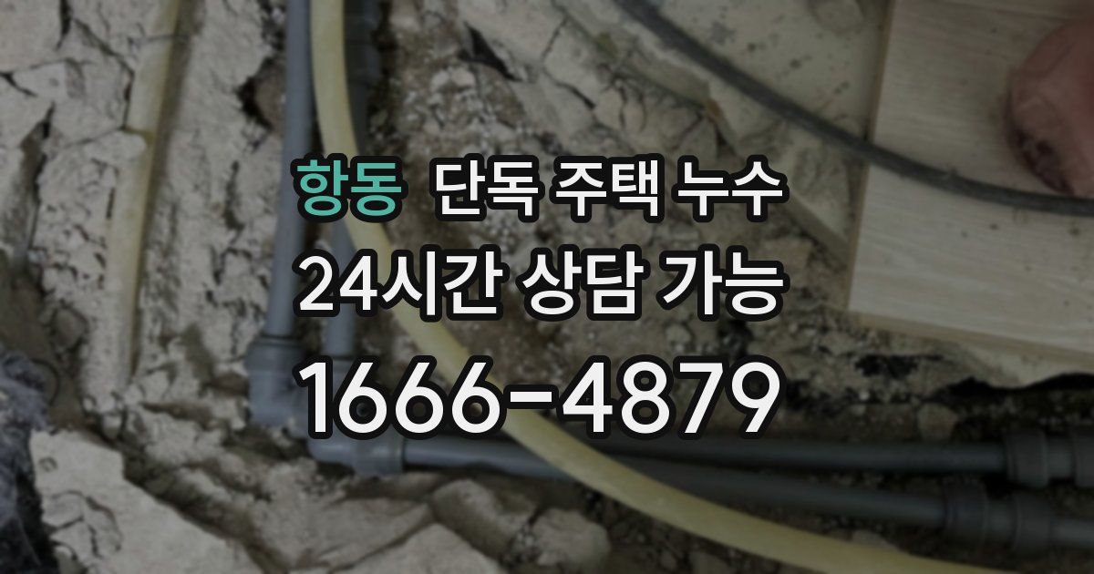항동 단독 주택 누수