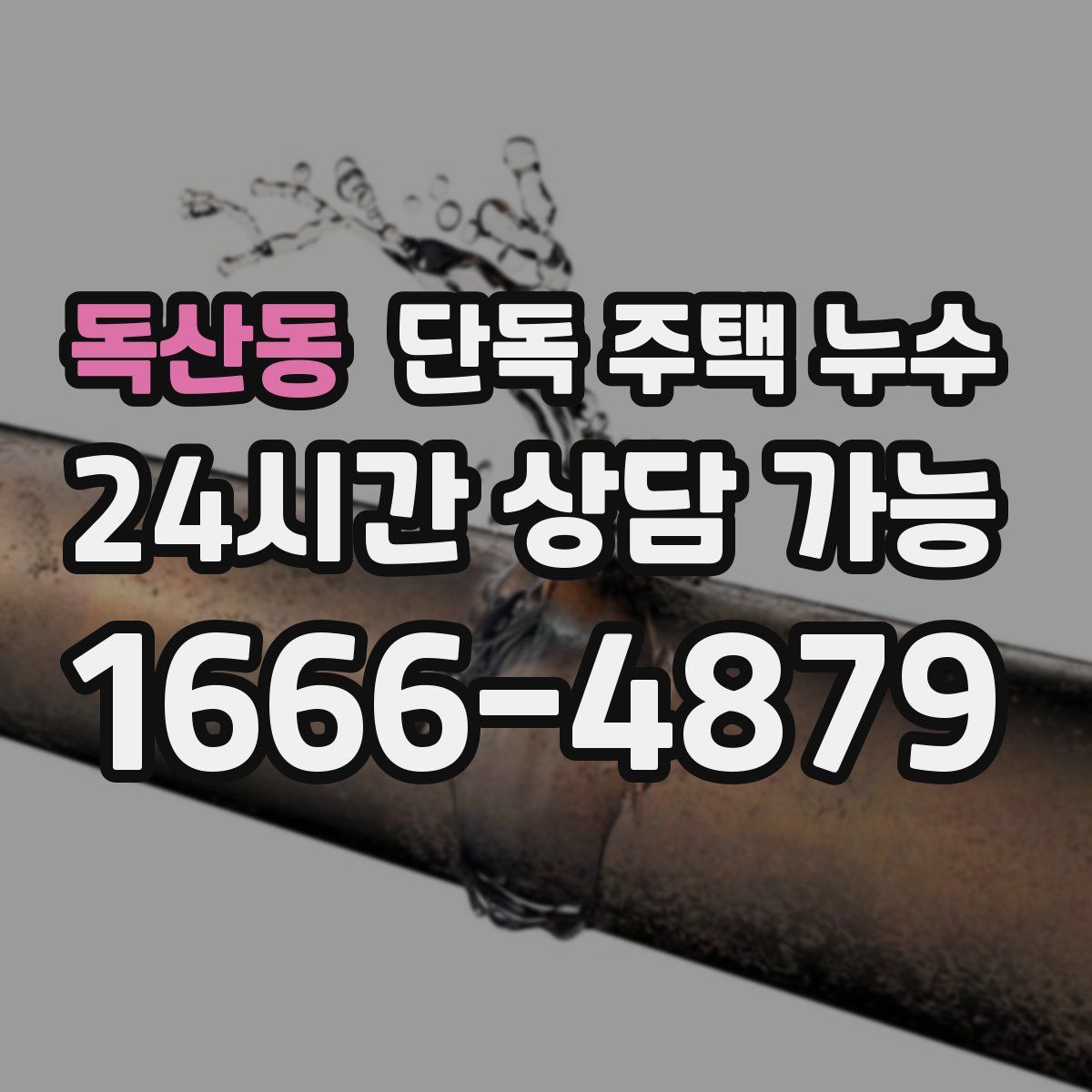 독산동 단독 주택 누수