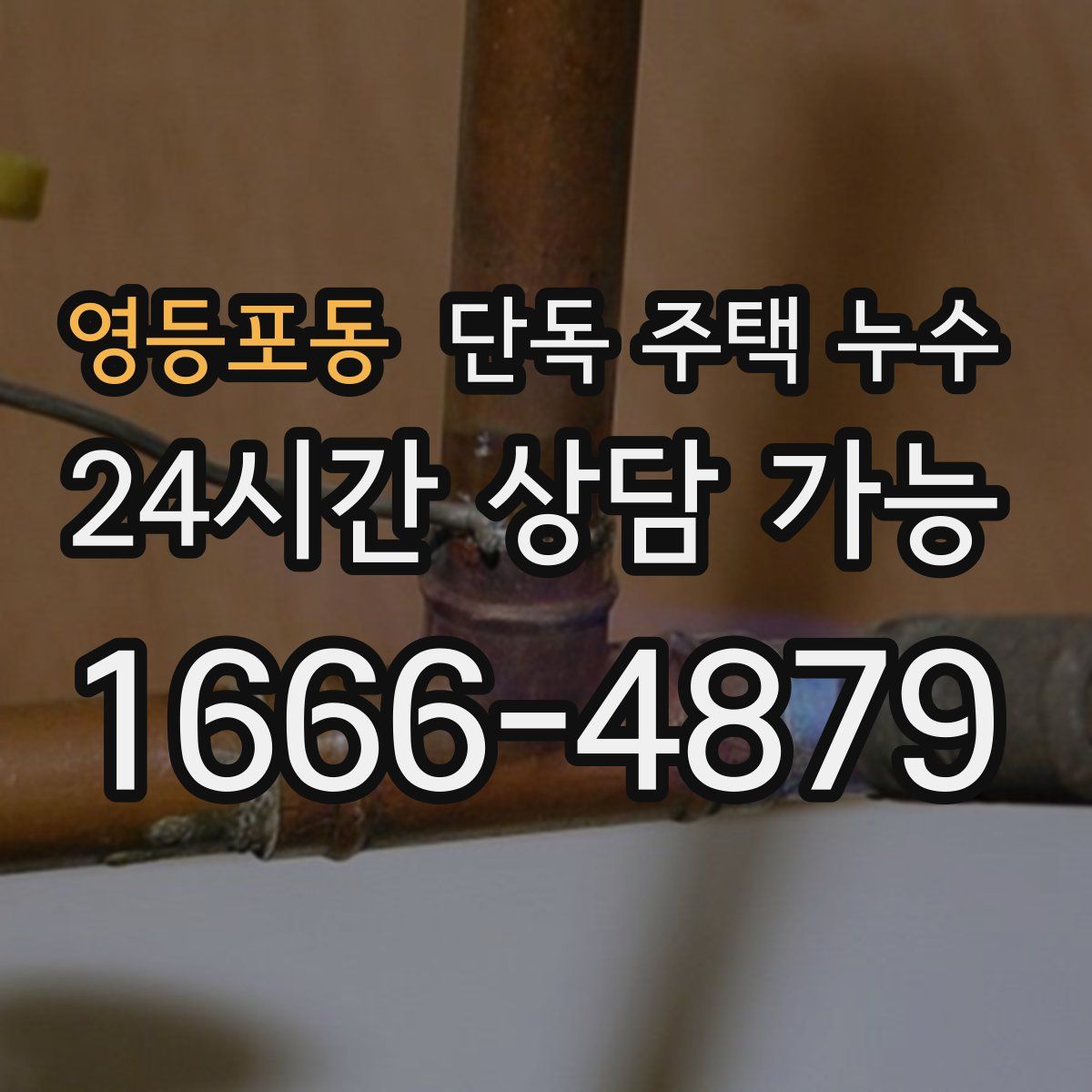 영등포동 단독 주택 누수