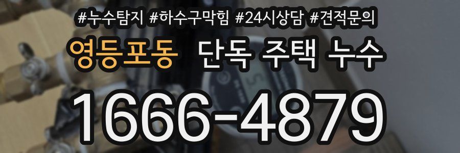 영등포동 단독 주택 누수