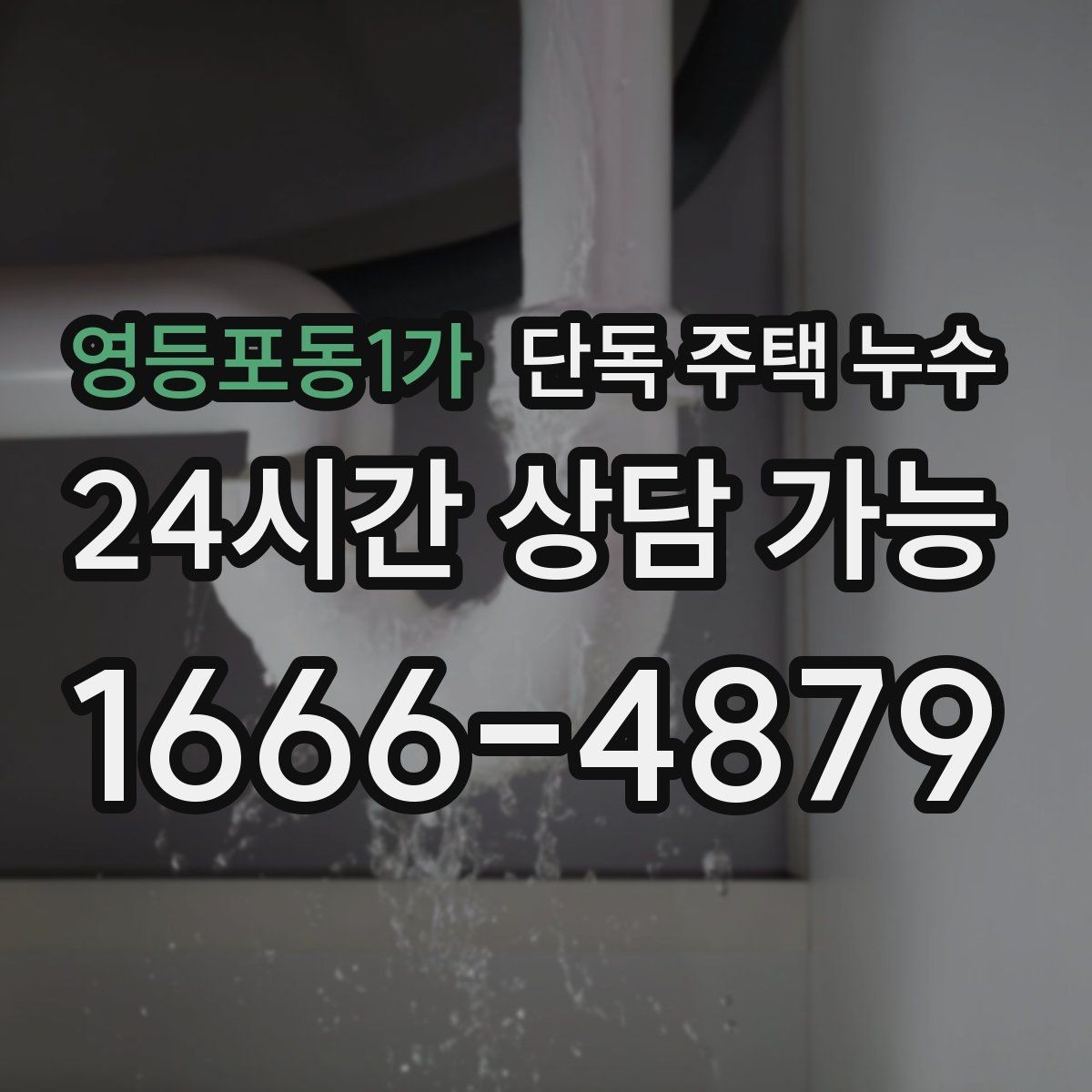 영등포동1가 단독 주택 누수 현관 주변 습기가 심할 때 원인