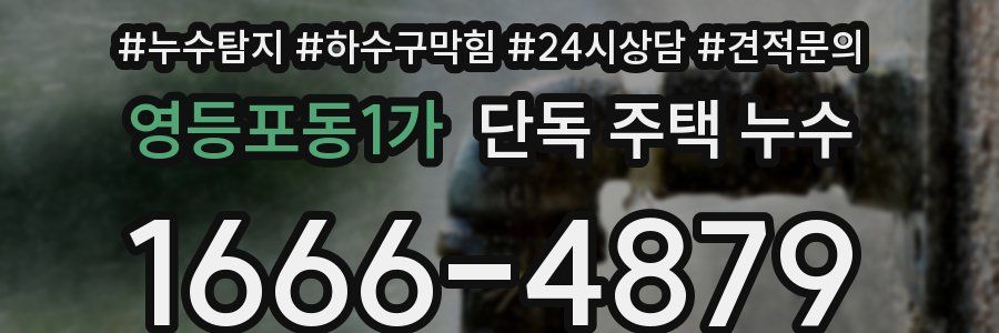 영등포동1가 단독 주택 누수
