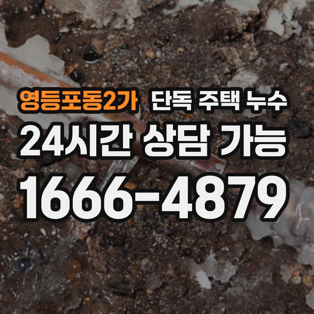 영등포동2가 단독 주택 누수 곰팡이가 특정 구역에만 생기는 이유
