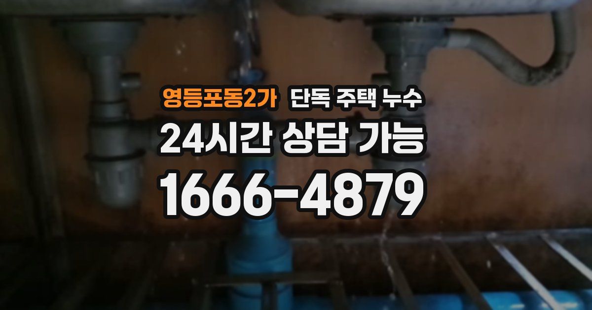 영등포동2가 단독 주택 누수