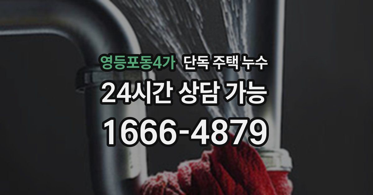 영등포동4가 단독 주택 누수