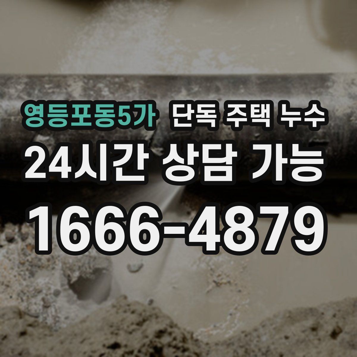 영등포동5가 단독 주택 누수