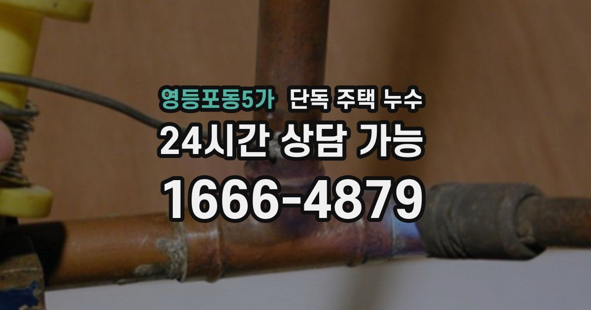 영등포동5가 단독 주택 누수