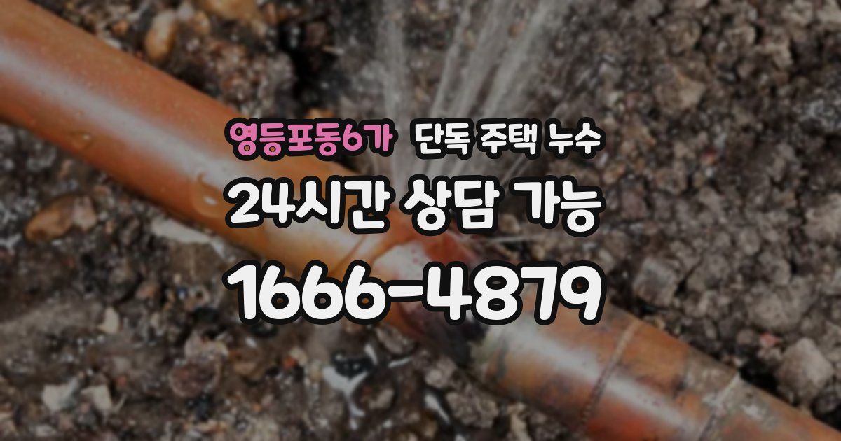 영등포동6가 단독 주택 누수