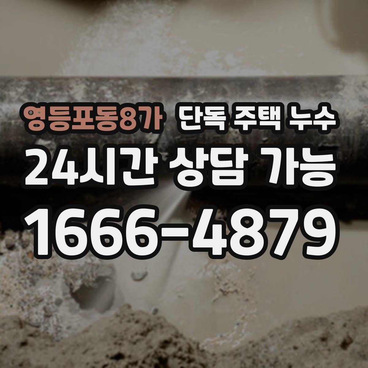 영등포동8가 단독 주택 누수