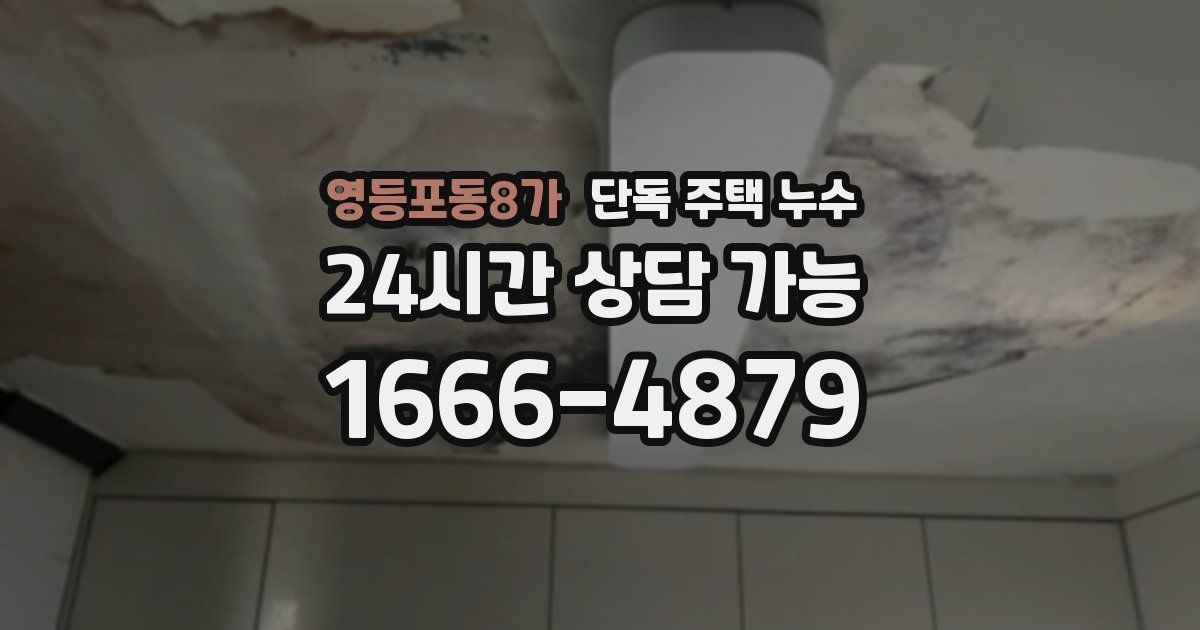 영등포동8가 단독 주택 누수