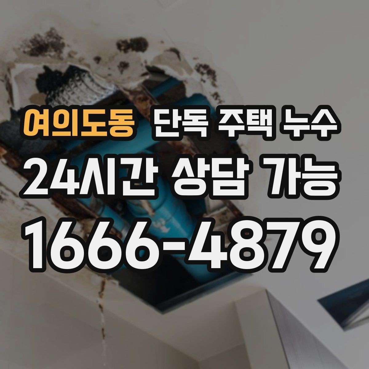 여의도동 단독 주택 누수 안전을 위해 전기 주변 젖음은 즉시 점검