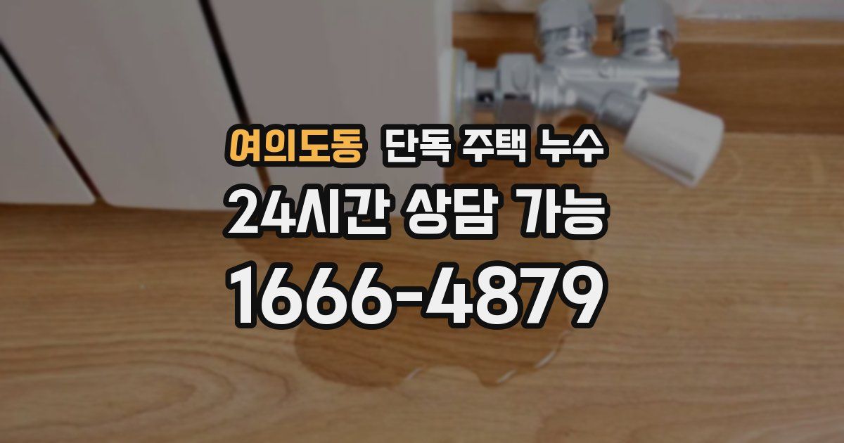 여의도동 단독 주택 누수