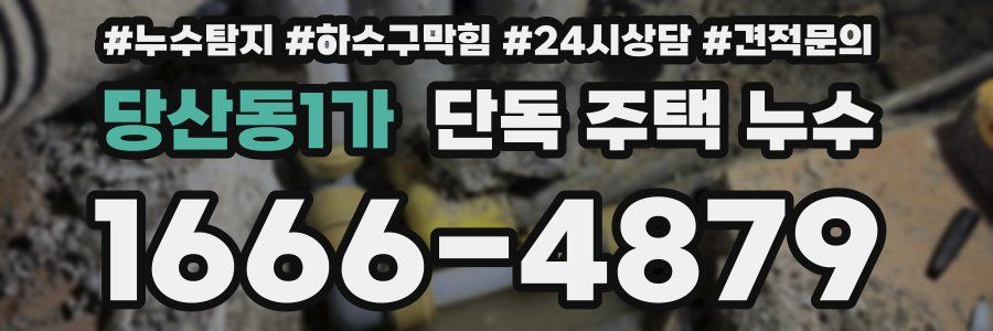 당산동1가 단독 주택 누수