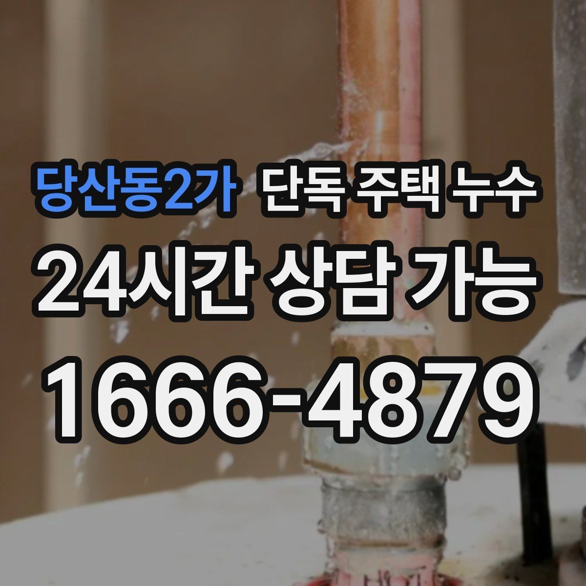 당산동2가 단독 주택 누수 외부 수도관 누수 의심될 때 징후
