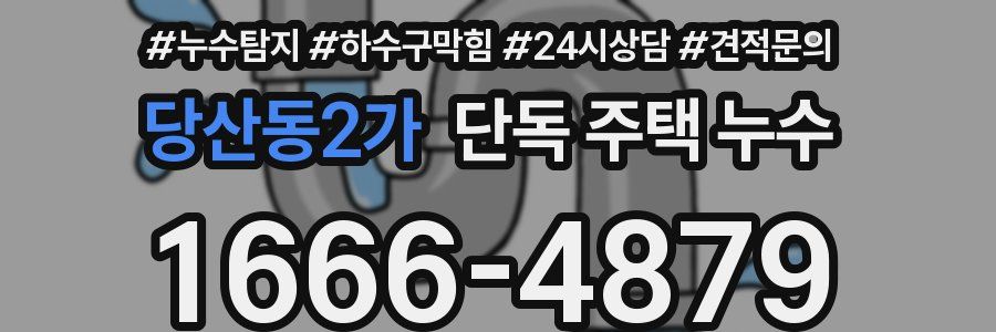 당산동2가 단독 주택 누수