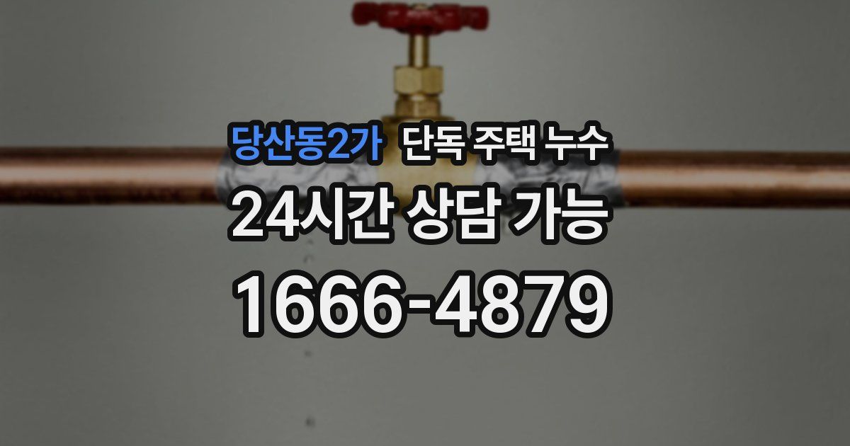 당산동2가 단독 주택 누수